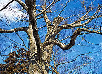 《糖豆人》宣布联动《死亡搁浅》 通行证今天上线