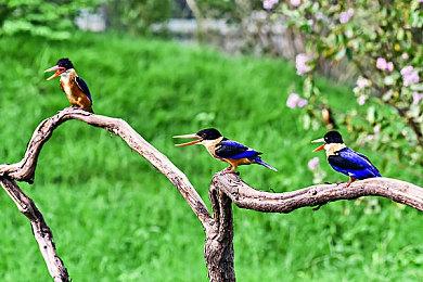 消息称RTX 5090价格不会比4090高出太多