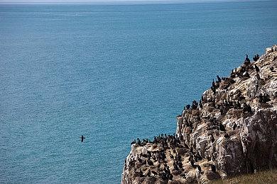 《艾尔登法环》大量试玩视频流出 展示游戏中的城堡